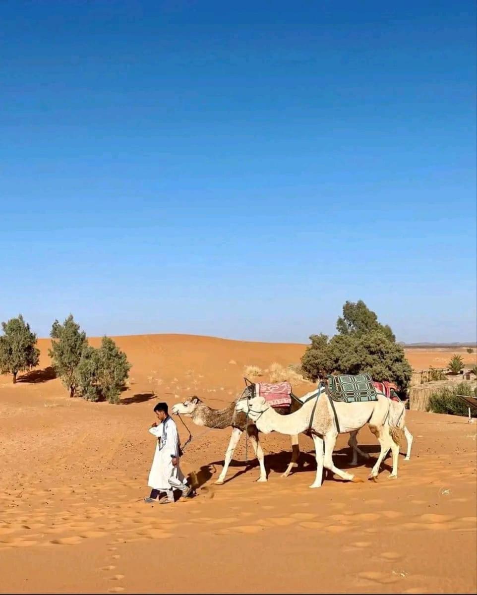 Tikida Camp By Tinfou Otel Zagora Dış mekan fotoğraf